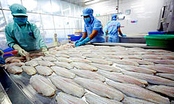 Click image for larger version

Name:	TT-Seafood-1-Reuters.jpg
Views:	0
Size:	241.4 KB
ID:	1842907
