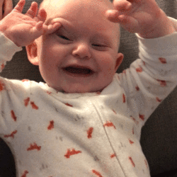 Click image for larger version

Name:	1486287226_laughing-baby.gif
Views:	0
Size:	2.22 MB
ID:	1906383