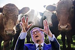 Click image for larger version

Name:	bill-gates-cow-600x400.jpg
Views:	0
Size:	39.4 KB
ID:	2373303