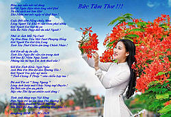 Click image for larger version

Name:	BỨC TM THƯ.jpg
Views:	0
Size:	234.1 KB
ID:	2390398