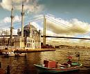Click image for larger version

Name:	turkey.jpg
Views:	12
Size:	10.6 KB
ID:	421902